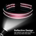 Reflective Dog Collar with Buckle Adjustable Safety Nylon Collars - Image 5