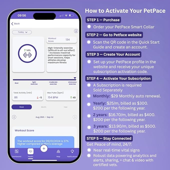 NEW Dog Health Monitor V3.0 by PetPace – AI Smart Collar - Image 3
