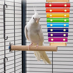 Colorful Bird Xylophone Toy Interactive Training Toy Bird Cage Bell Toy - Image 6