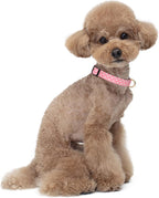 Reflective Dog Collar for Small Dogs, Cute Adjustable Heavy-Duty Nylon Puppy - Image 2