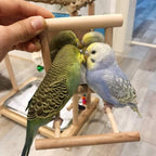 HANZE Bird Mirror Swing with Rattan Ball | Natural Wood Parrot Toy with Metal - Image 8