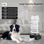 Marchul 2.3 Gallon Dog Water Dispenser, Large Dog Water Dispenser - Image 2