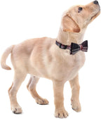 Faleela Soft &Comfy Bowtie Dog Collar, Detachable and Adjustable Bow Tie Collar - Image 5