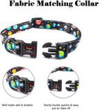 Roses&Poetry Dog Collar with Colourful Star Patterns, Adjustable Durable Puppy - Image 4