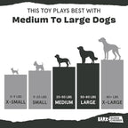Barkbox Dogness Monster Super Chewer Dog Chew Toy - Image 6