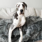 PupProtector Waterproof Throw Blanket - Image 5