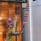 DS. DISTINCTIVE STYLE Bird Ladder Toys Coloured Flexible Parrot Swing Bridge - Image 5