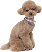 Reflective Dog Collar for Small Dogs, Cute Flower Theme Adjustable Heavy-Duty - Image 2