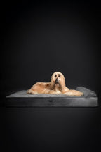 NOAH & PAW Giant Dog Bed XXL 55x45x9.5 Inch, Orthopedic Dog Beds, Eggshell - Image 8