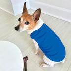 Customized Dog Shirt Custom Pet Clothes T Shirts - Image 5