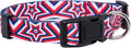 Native Pup American Flag Dog Collar- Red White and Blue- Patriotic Collars by NativePup