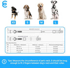 Blueberry Pet Essentials Matching Large Dog Collar | Adjustable Classic Solid - Image 9
