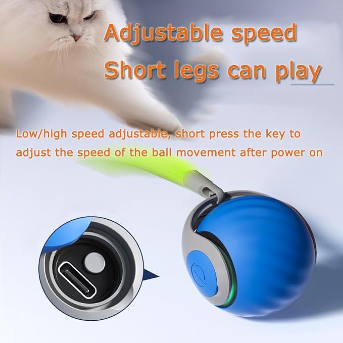 2Packs Speedy 2.0 Tail Cat Toys - Image 2