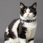 Cat Collar Breakaway, 2 Pack Cotton Cats Collars - Image 2