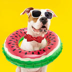 Lionheart glory Dog Collar, Watermelon Dog Collar - Image 2