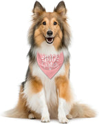 Big Sister Dog Bandana, Pet Triangle Scarf - Image 2