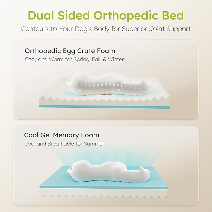 Extra Large Dog Bed, Orthopedic XL Dog Bed - Image 2
