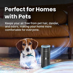 LabCharge Small Ionic Air Purifier - Image 3