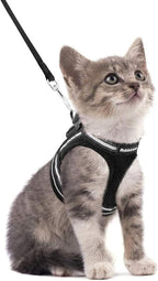 rabbitgoo Cat Harness and Leash Set by rabbitgoo