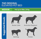 Coolaroo The Original Cooling Elevated Pet Bed, Brunswick Green - Image 6