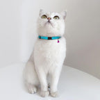 Breakaway Cat Collar Leather - Image 9