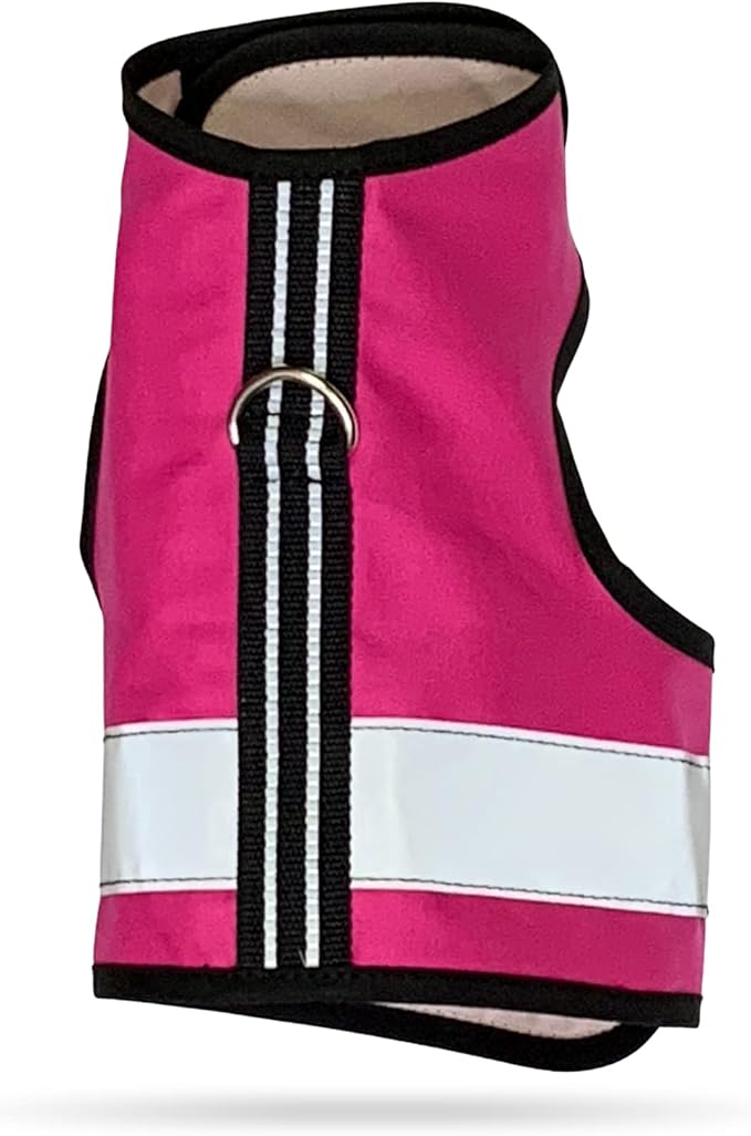 Kitty Holster Reflective Cat Harness – High-Visibility Cat Harness by KittyHolster