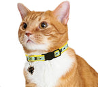 2 Pack Glow in The Dark Cat Collar - Image 6