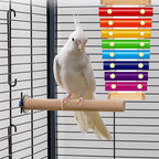 Bird Xylophone with Mirror & Bell Accessories - Image 7