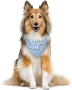 Big Sister Dog Bandanas, Light Blue Pet Scarf Accessories, Pet Triangle Scarf - Image 4