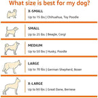 Amazon Basics Portable Folding Soft Dog Crate, Double Door, Collapsible Travel - Image 3