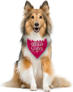 Big Sister Dog Bandana, Dog Bandana, Deep Pink Pet Dog Scarf Accessories - Image 3