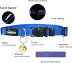 Personalized Nylon Cat Collar Breakaway - Image 3