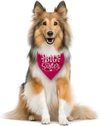 Big Sister Dog Bandana, Deep Pink Dogs Scarf Accessories, Pet Triangle Scarf - Image 4