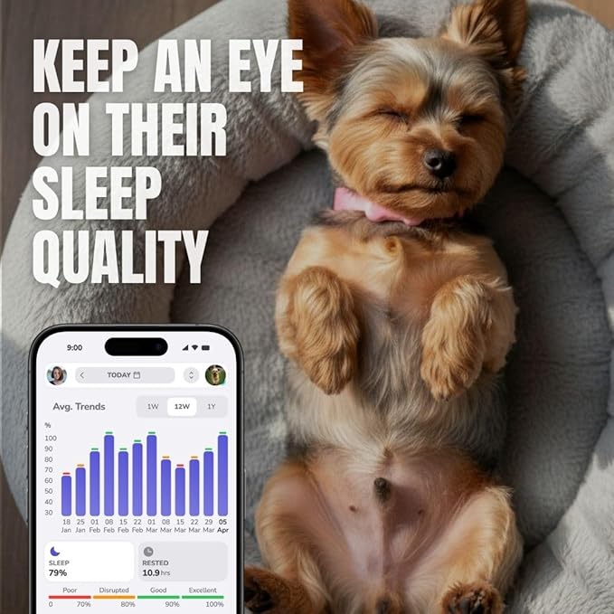 FitBark 2 Dog Activity Monitor | Health & Fitness Tracker - Image 4