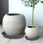 3 Pack of 25 26 inch Plant Saucer, 4.2" Depth, Large Deep Plastic Flower - Image 6