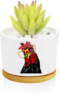 Window Garden Rooster Planter Pots, Rooster Gifts by Databa