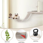 Cat Wall Shelves Climber Systems, Bridge Ladder, Wooden Platform and Hanging - Image 4