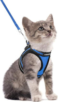 rabbitgoo Cat Harness and Leash Set by rabbitgoo