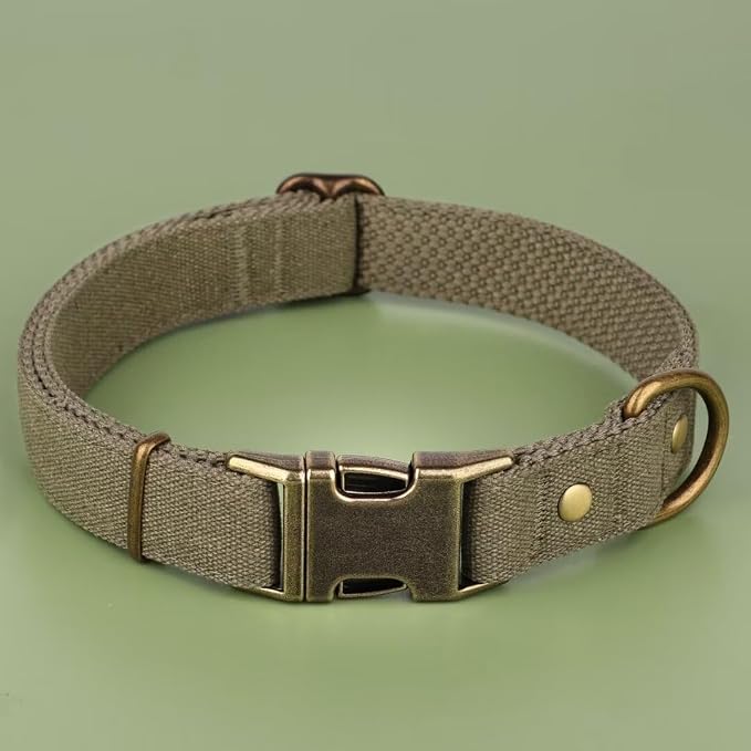 PET ARTIST Dog Collar for Large Dogs, Soft Padded Premium Nylon Dog Collar - Image 3