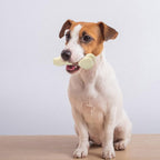 Tikaton Dog Chew Toys for Aggressive Chewers, Peanut Butter Flavor Durable Dog - Image 5