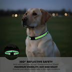 Dog Training Collar Replacement and Shock Collar Strap - Image 4