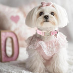 Girl Dog Collar for Large Dogs - Image 7