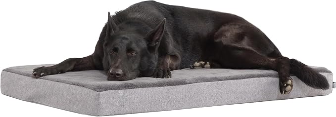 Barkbox Orthopedic Dog Bed by BARK