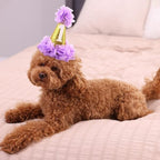 Stock Show 1st Pet Birthday Cone Hat Dogs Cats Holiday Party Hat Headwear - Image 4