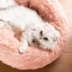 Large Cat Beds for Indoor Cats - Image 2