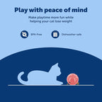 PetSafe SlimCat Interactive Feeder - Image 6