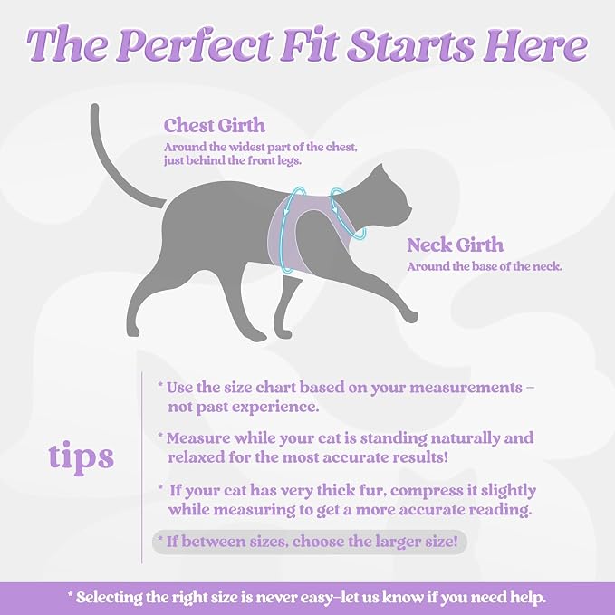 rabbitgoo Cat Harness and Leash Set - Image 2