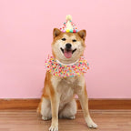 Cat Dog Princess Costumes Puppy Cat Birthday Bandana Scarf and Party Hat Cute - Image 3