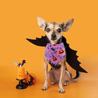 PET SHOW 50 Pack Halloween Small Dog Bandanas Girl Boy Pumpkin Bat Ghost Cat - Image 6