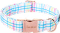 Unique style paws Dog Collar Metal Buckle Collar Gift by Uniquestylepaws